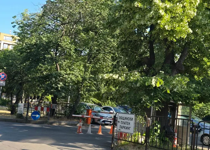 морско приключение